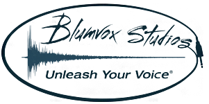 Blumvox Studios Logo
